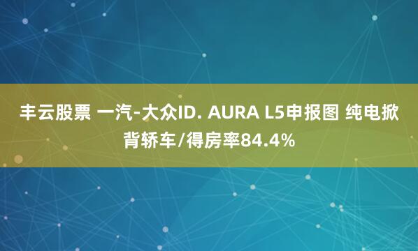 丰云股票 一汽-大众ID. AURA L5申报图 纯电掀背轿车/得房率84.4%