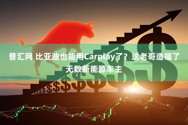 普汇网 比亚迪也能用Carplay了？这老哥造福了无数新能源车主
