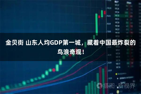 金贝街 山东人均GDP第一城，藏着中国最炸裂的鸟浪奇观！
