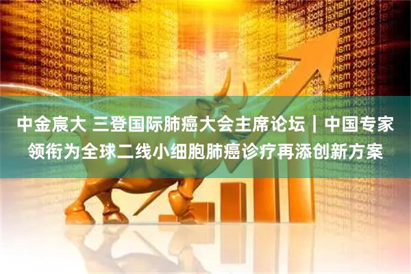 中金宸大 三登国际肺癌大会主席论坛｜中国专家领衔为全球二线小细胞肺癌诊疗再添创新方案