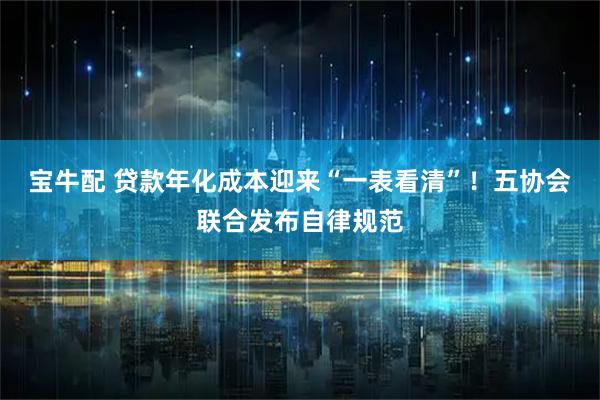 宝牛配 贷款年化成本迎来“一表看清”！五协会联合发布自律规范